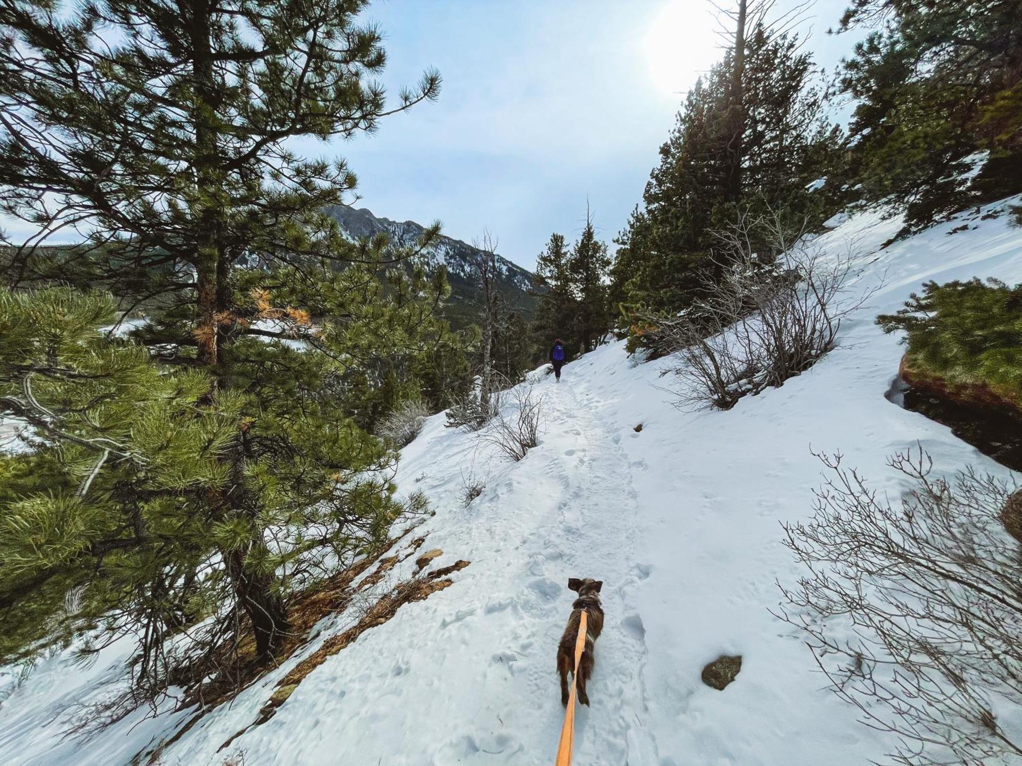 Holiday Inn Estes Park By Ihg エクステリア 写真