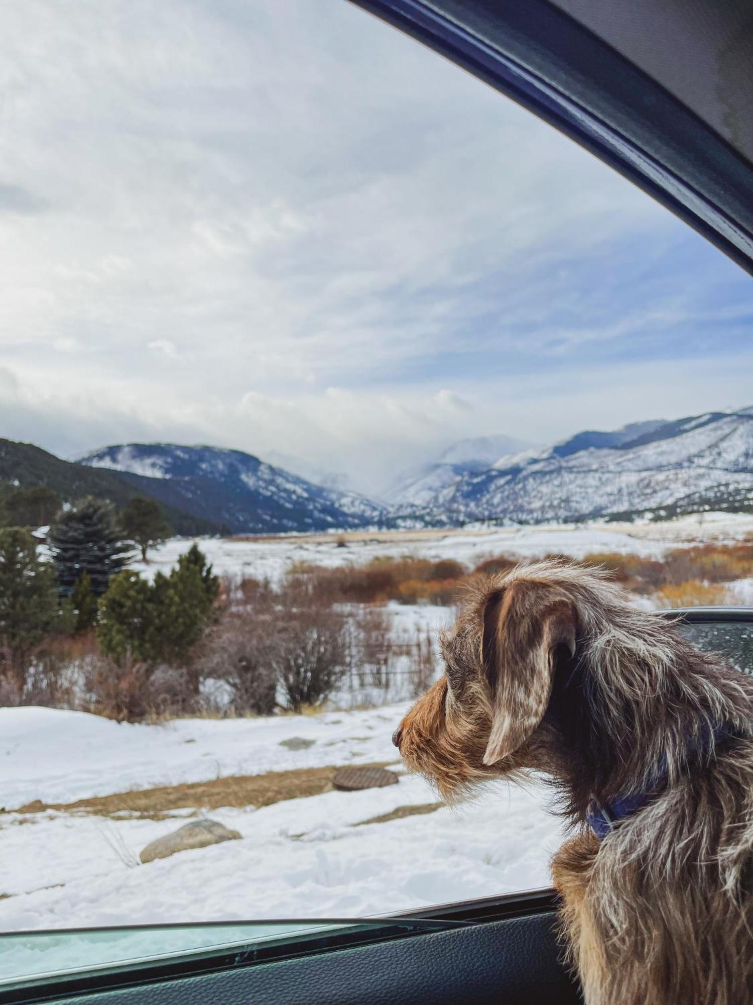 Holiday Inn Estes Park By Ihg エクステリア 写真